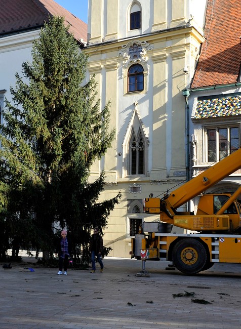 Vianočný stromček na Hlavnom námestí 1