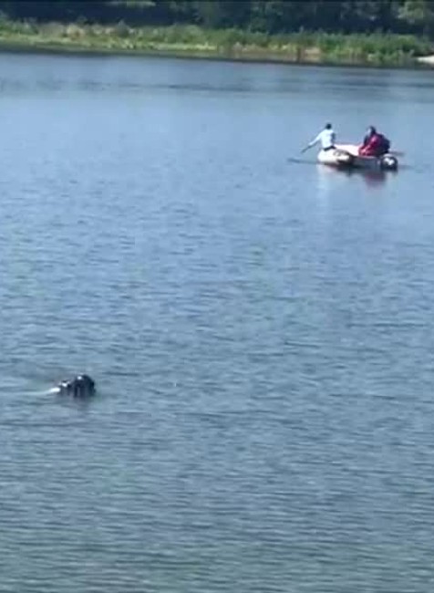 [multi] Z priehrady pri Lozorne vytiahli bezvládne telo muža 2166