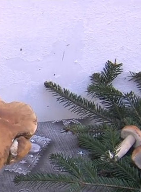  Dubák väčší ako futbalová lopta. Jeho váha vás zarazí