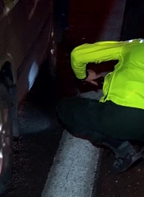 [multi] Pri tragickej nehode prišla o život 59-ročná chodkyňa 1917