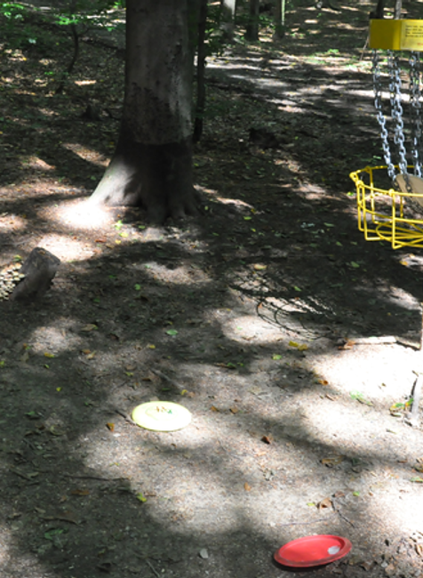 Disc Golf