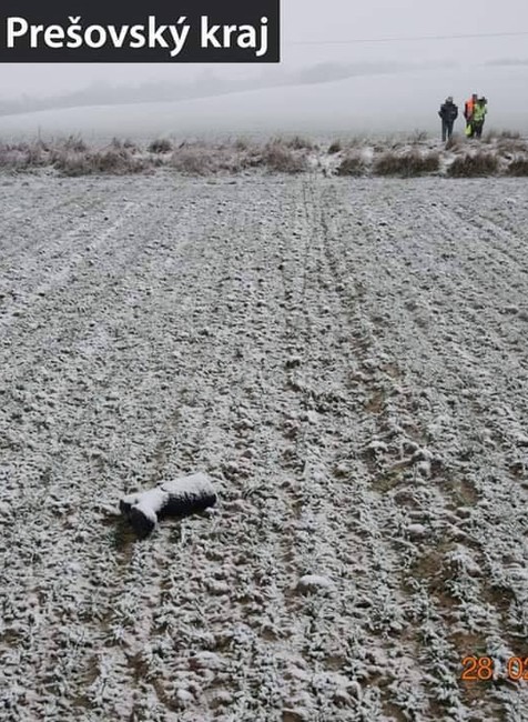 Neosvetlený a bez prilby. Pri tragickej nehode prišiel o život cyklista