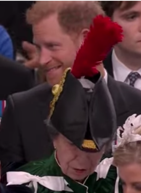 Harry spoza klobúka svojej tety, princeznej Anny, veľa nevidel