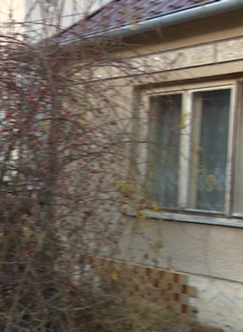 Dom, kde došlo k útoku psa na ženu 