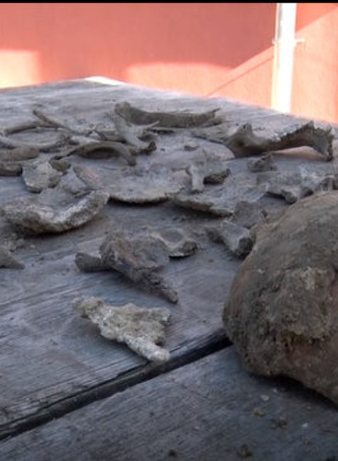 Pri materskej škole našli ľudské pozostatky