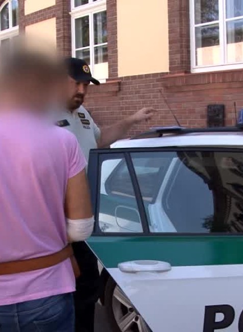 Väzba násilník2012