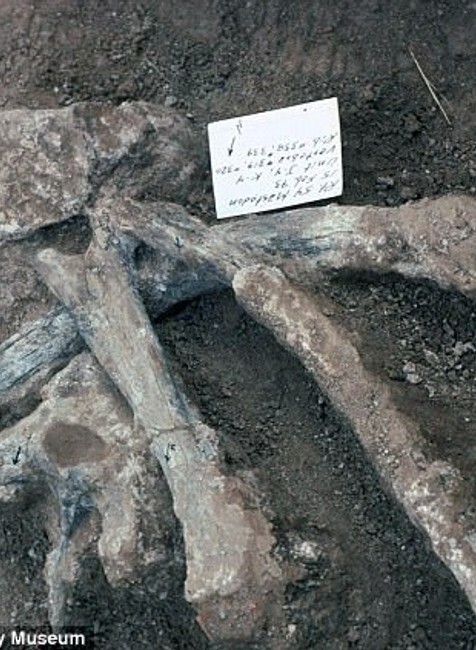 Nález, ktorý môže prepísať históriu