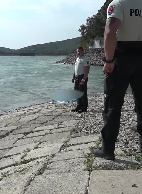 [multi] 082724WVP 364