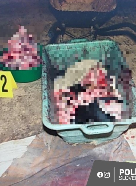 334971366_6306203666162448_3825653062399749486_n