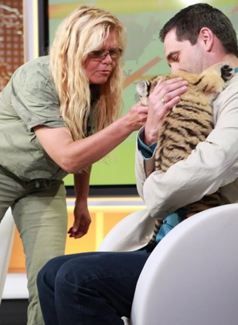 Tiger_TV JOJ_štúdio_Ján Mečiar