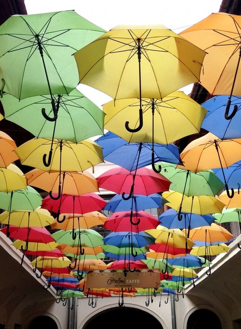 Erica Rosenberg v Košiciach