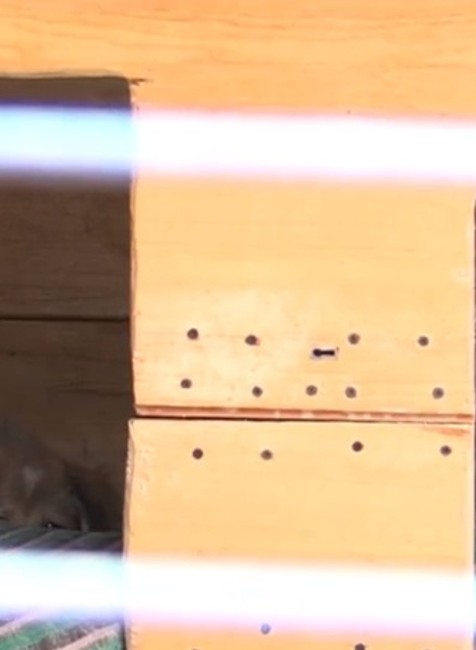 Muž vyniesol z auta škatuľu a odišiel. Svedkyňa ale zbadala, že nebola prázdna