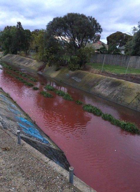 Rieka nabrala krvavo červenú farbu 
