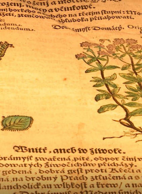 Unikátna kniha za tisícky eur