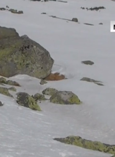 Mladíci v Tatrách si cez reproduktor púšťali hudbu