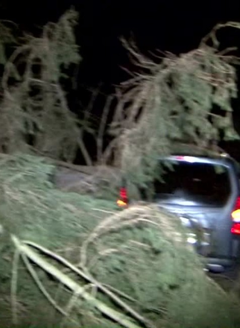 [multi] Šťastie v nešťastí! Na idúce auto pred Malužinou spadli dva hrubé stromy 657