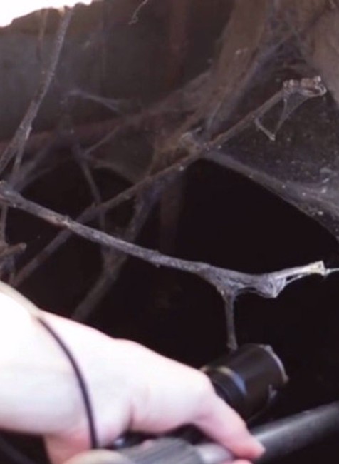 Kauza utopených šteniatok, ktorú mali na svedomí policajti, pokračuje