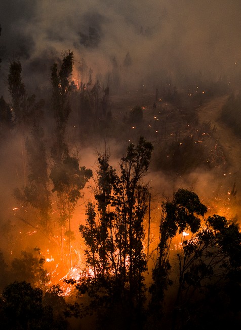 Chile_Wildfires_61989-a2d23abed8244f30a037f121e63ce983