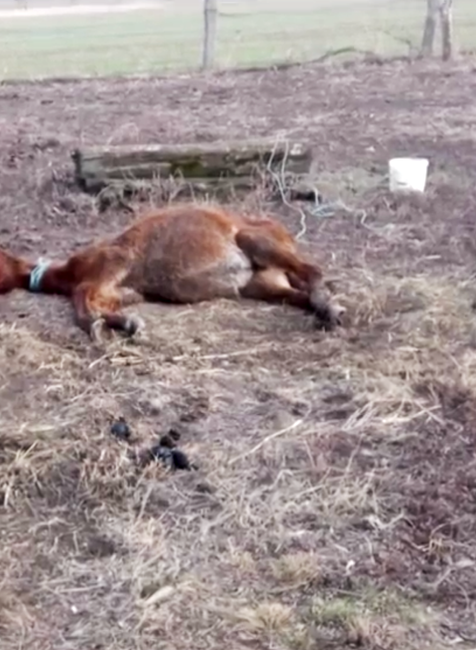 Snímka obrazovky 2019-02-27 o 20.02.32