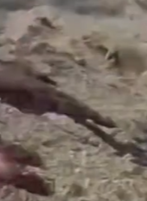 Vyvierajúca krv zo zeme 1