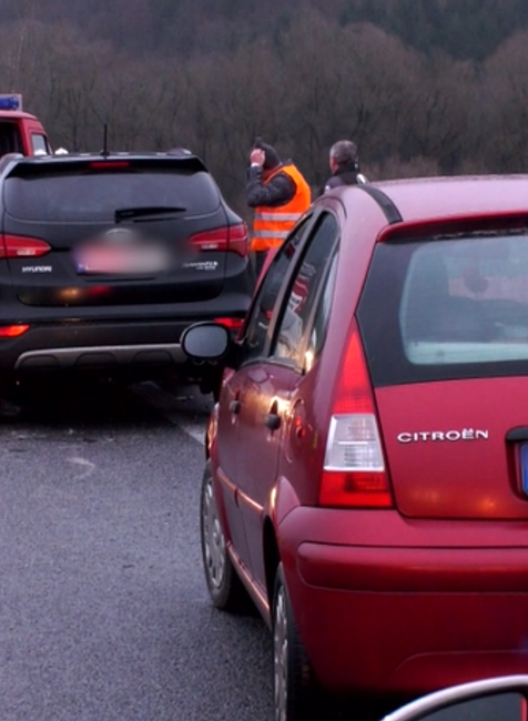 Cez vozovku plnú vozidiel sa prehnalo stádo jeleníc