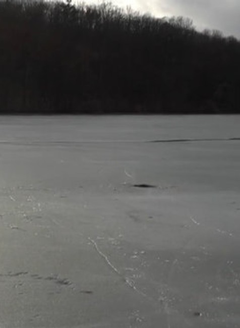 Zamrznutý diviak v nádrži