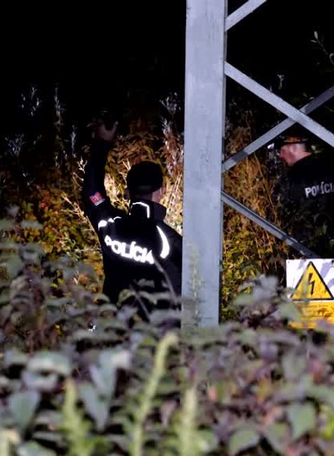 Po útoku diviakov sa žena mala stratiť v tme a kroví. Nenašiel ju ani policajný pes