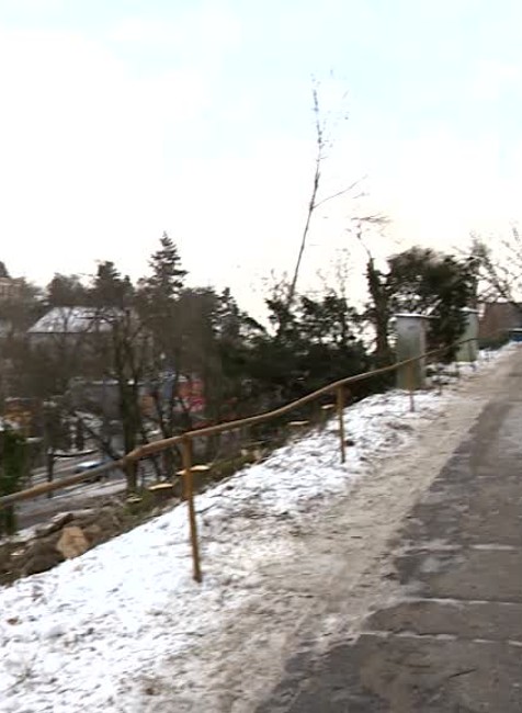 [multi] KN vyrub stromov 777