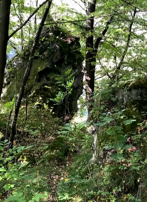 [multi] Nebezpecne bralo Strecno 5180