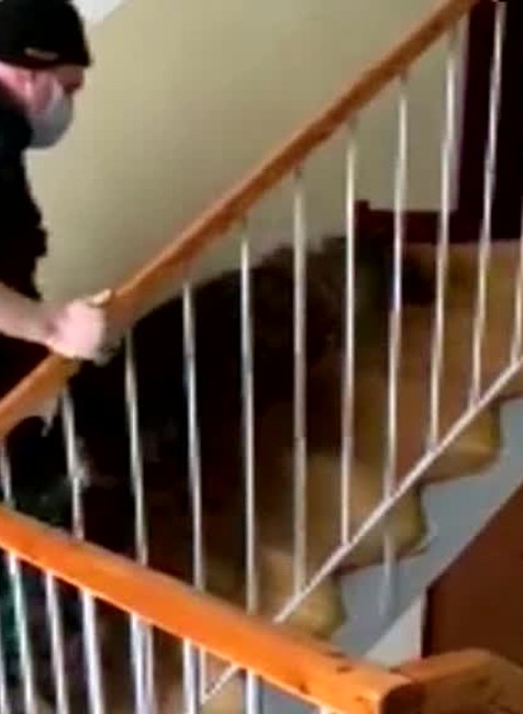 [multi] Drogy a falošné peniaze 2098