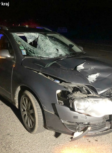 Chodec zrážku s autom neprežil.