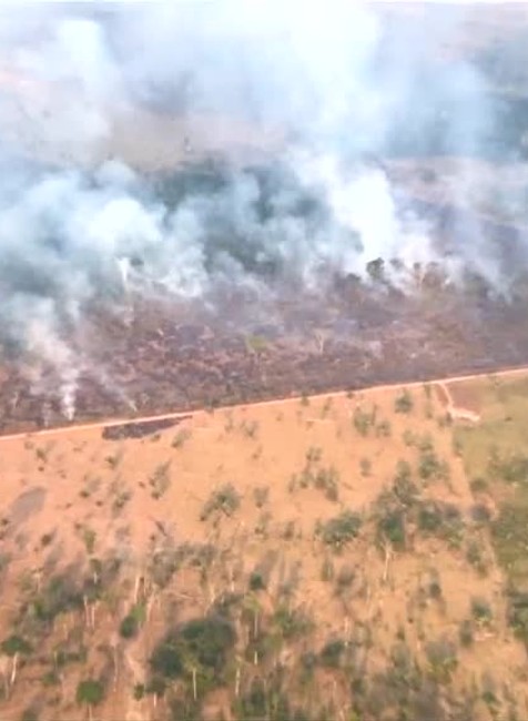 Stovky zvierat utekajú pred požiarom v Amazonskom dažďovom lese. V Bolívii pre ne stavajú útulky
