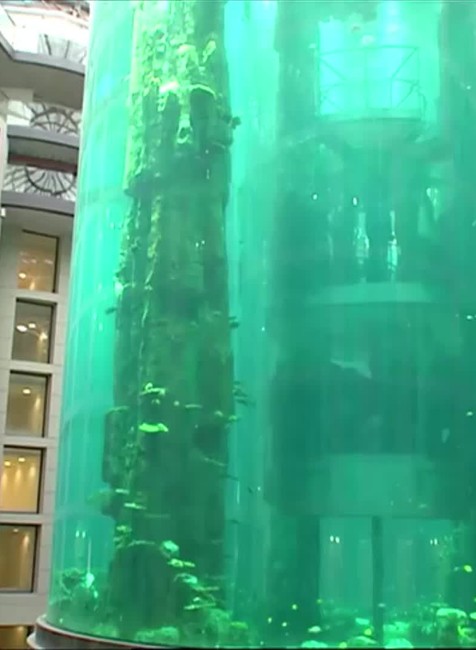 [multi] Berlín akvárium 1923