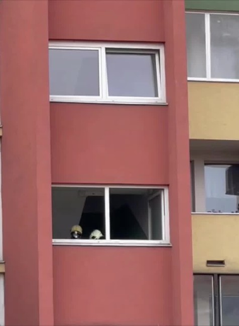 [multi] V hlavnom meste horia pivnice výškového paneláku 2515