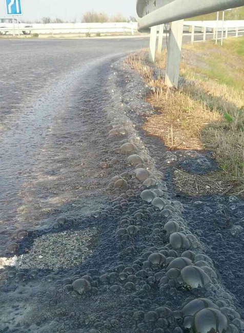 D1, kyselina dusičná