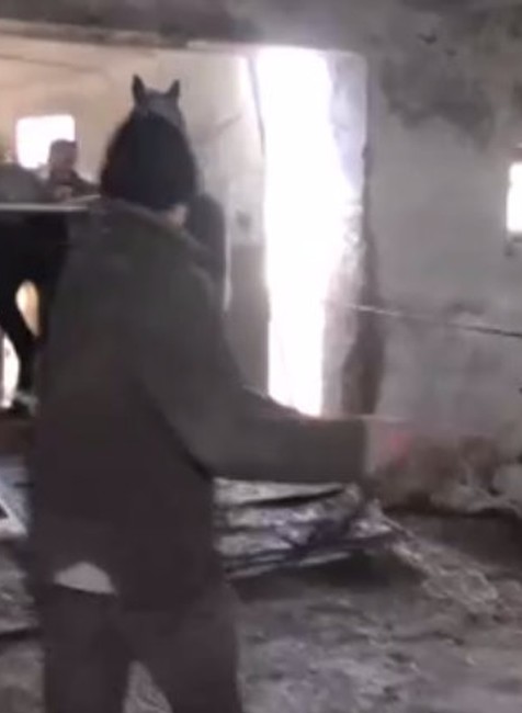 Fullscreen capture 21032019 094615