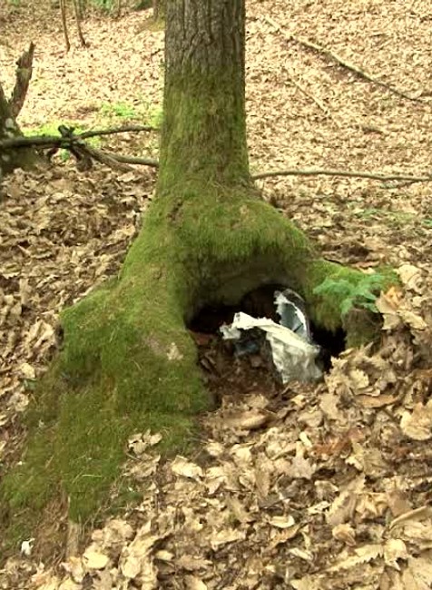 Desivý nález pri zbieraní húb. Žena našla v lese pištoľ