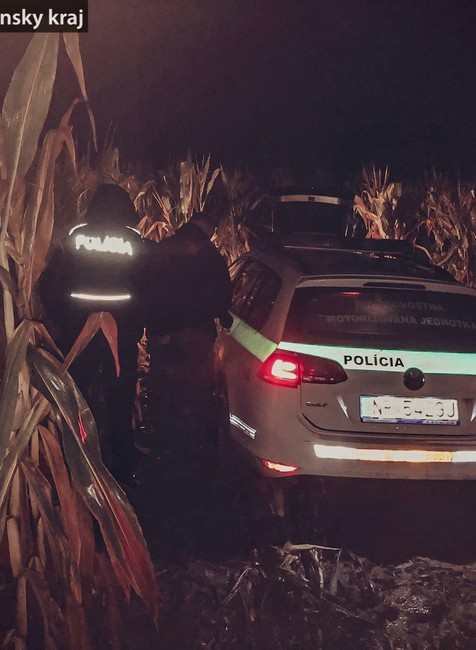 300768381_1195773864300949_5017850207112733067_n