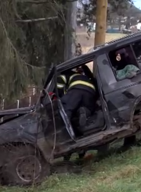 Muž z neznámych príčin zišiel z cesty, neprežil náraz do stromu 