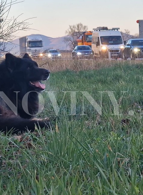 nehoda na diaľnici BB (1)
