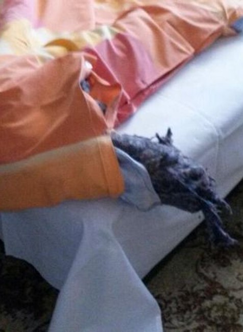 Ubytovanie reprezentácií vo futsale