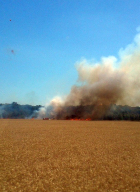 požiar Zohor pole 1