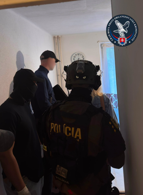 Policajný zásah 