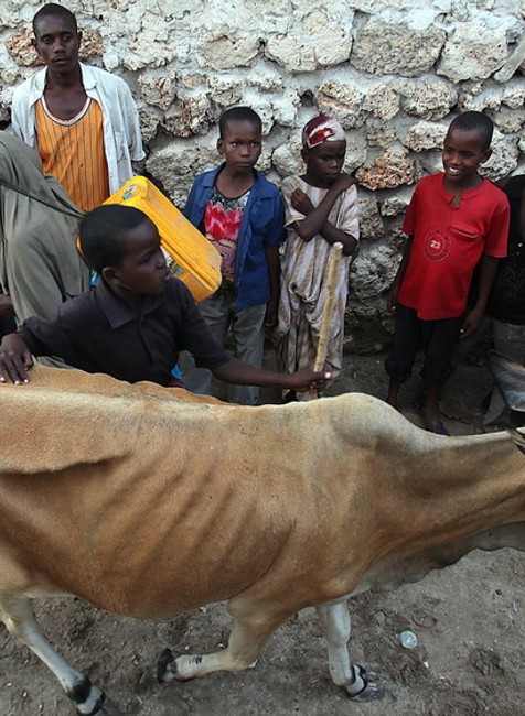 Sucho a hlad zabíjajú deti v Somálsku, potravinová kríza, Afrika