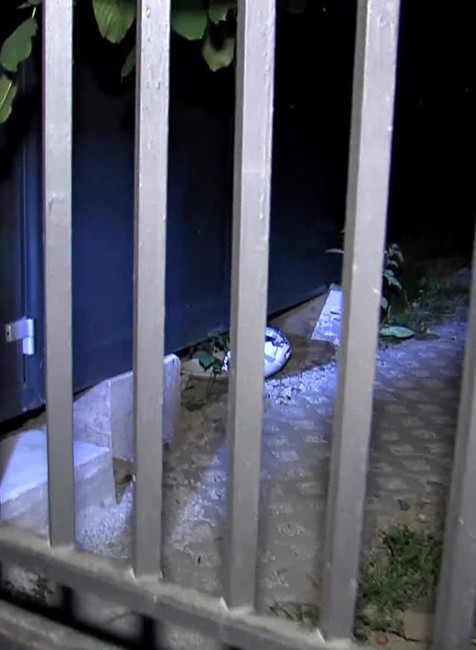 [multi] Ozraty do stlpu. 4465