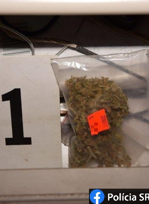 Policajná razia u staršieho manželského páru: Vo fóliovníku pestovali konope, doma držali aj zbrane