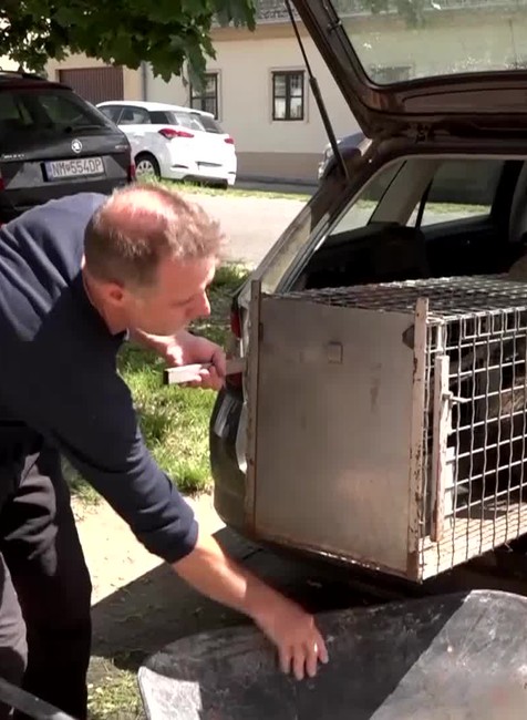 Záchranné stanice volajú o pomoc