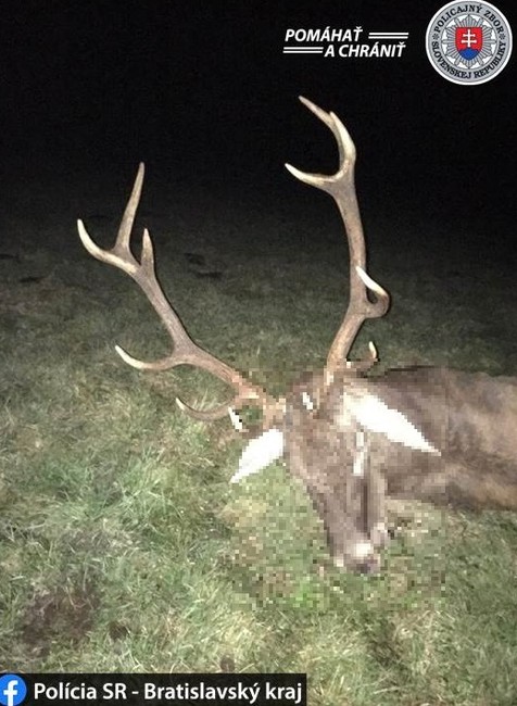 Najväčšia policajná akcia zameraná na pytliakov