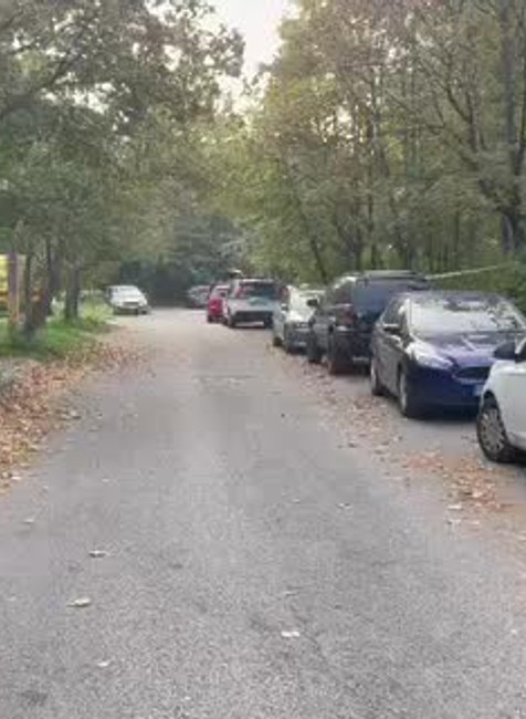 [multi] Páchateľ v kríkoch 16726