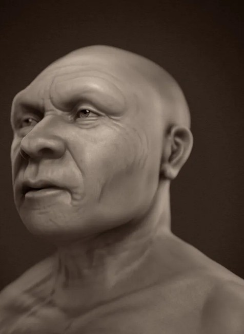 Homo neanderthalensis